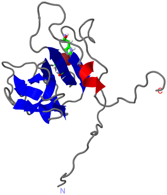 Image NMR Structure - model 1, sites