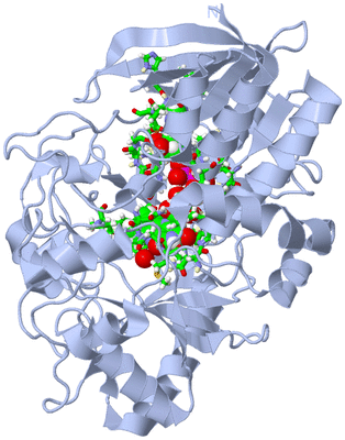 Image Biol. Unit 1 - sites