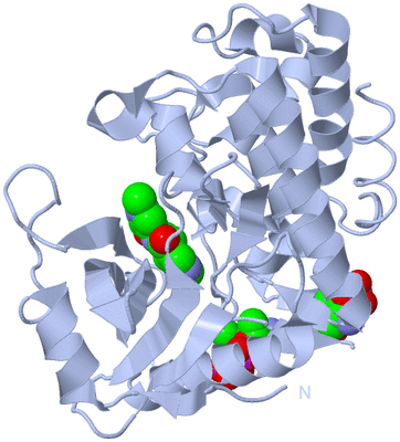 Image Biological Unit 1