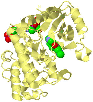 Image Biological Unit 4