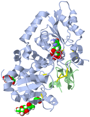 Image Asym./Biol. Unit