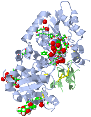 Image Asym./Biol. Unit - sites