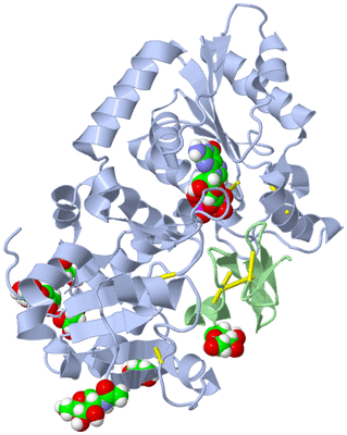 Image Asym./Biol. Unit