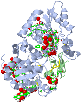 Image Asym./Biol. Unit - sites