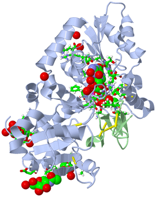 Image Asym./Biol. Unit - sites