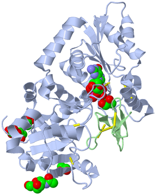 Image Asym./Biol. Unit