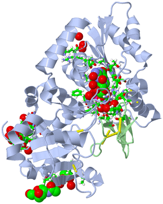 Image Asym./Biol. Unit - sites