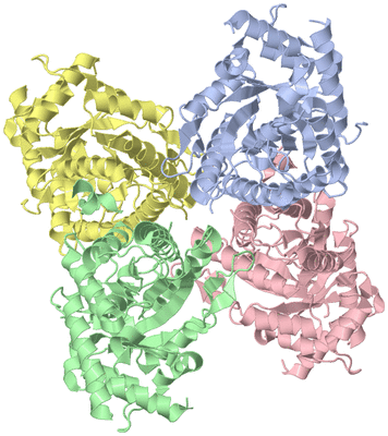 Image Asym./Biol. Unit