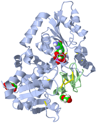 Image Asym./Biol. Unit