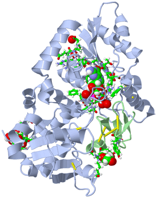 Image Asym./Biol. Unit - sites