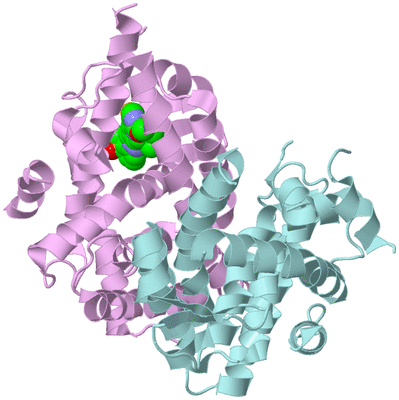 Image Biological Unit 2