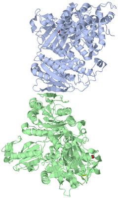 Image Asym./Biol. Unit