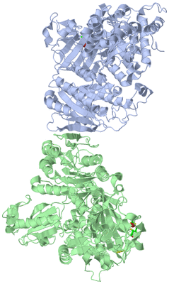 Image Asym./Biol. Unit - sites