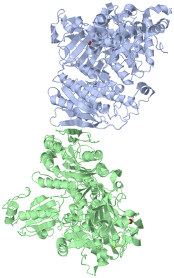 Image Asym./Biol. Unit