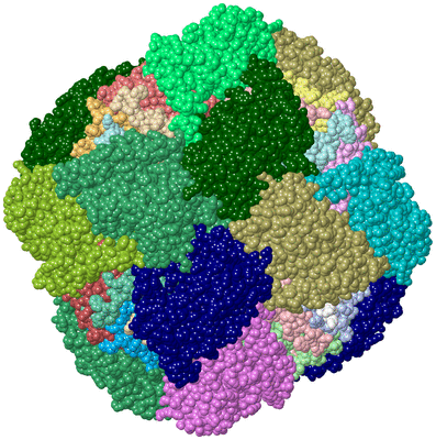 Image Asym./Biol. Unit