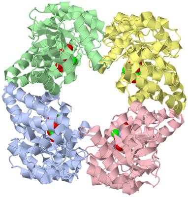 Image Asym./Biol. Unit