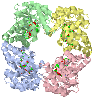 Image Asym./Biol. Unit - sites