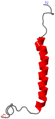 Image NMR Structure - model 1