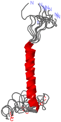 Image NMR Structure - all models