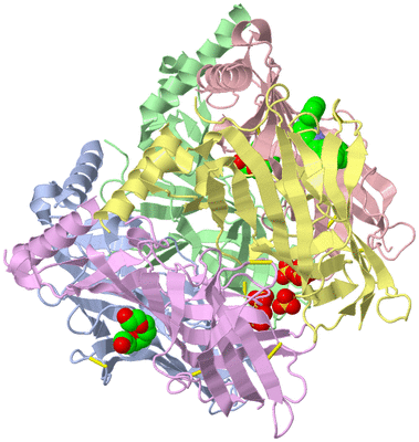 Image Asym./Biol. Unit