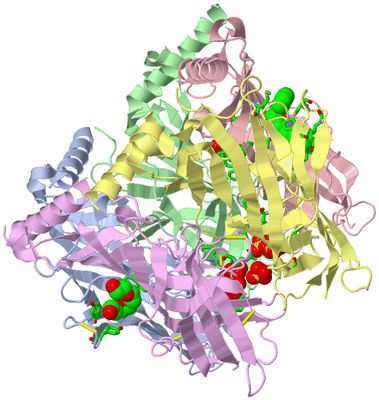 Image Asym./Biol. Unit - sites