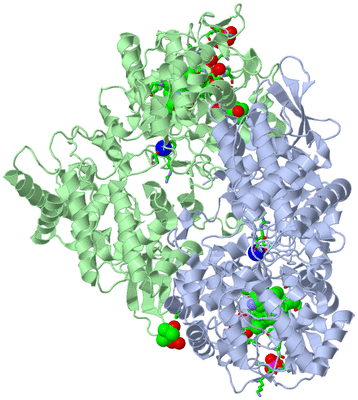 Image Asym./Biol. Unit - sites