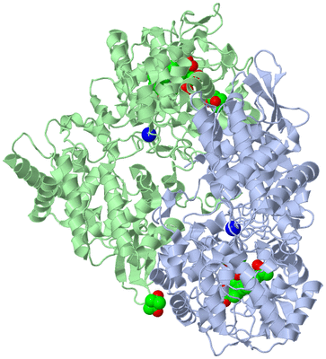 Image Asym./Biol. Unit