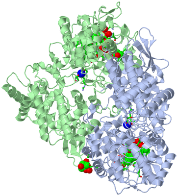 Image Asym./Biol. Unit - sites