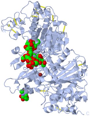 Image Biological Unit 1