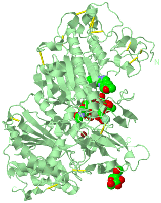 Image Biological Unit 2