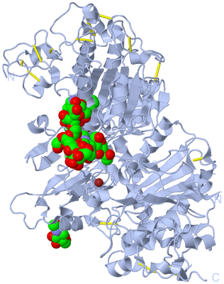 Image Biological Unit 1