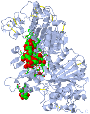 Image Biol. Unit 1 - sites