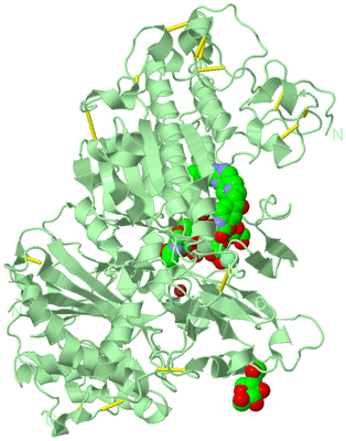 Image Biological Unit 2