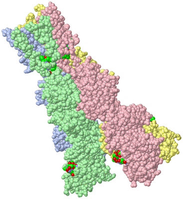 Image Asym./Biol. Unit - sites