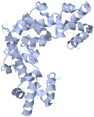 Image Biological Unit 1