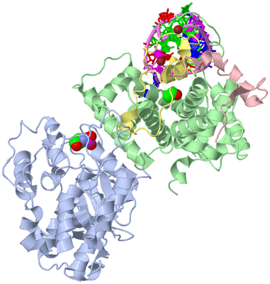 Image Biological Unit 1