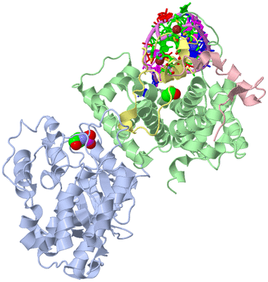 Image Biol. Unit 1 - sites