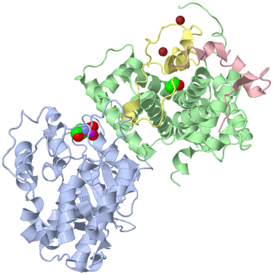 Image Biological Unit 2