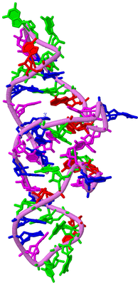 Image Biological Unit 3