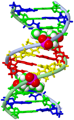 Image NMR Structure - model 1