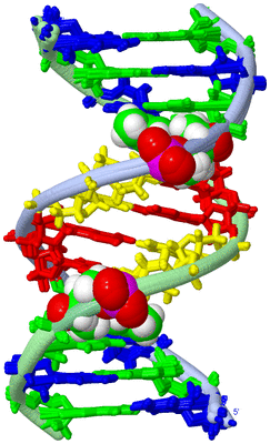 Image NMR Structure - all models