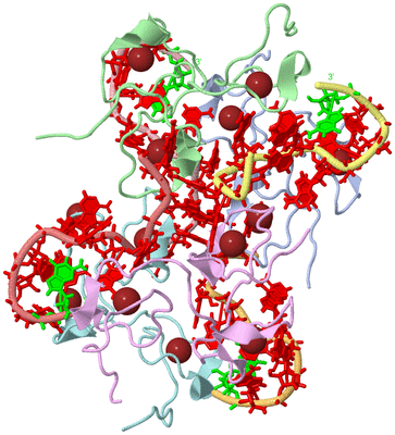 Image Asym./Biol. Unit