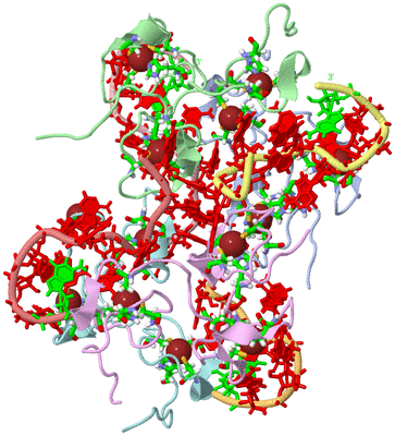 Image Asym./Biol. Unit - sites