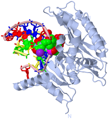 Image Biological Unit 1