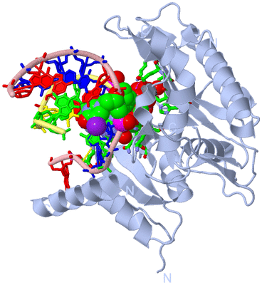 Image Biol. Unit 1 - sites