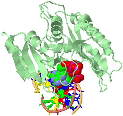 Image Biological Unit 2