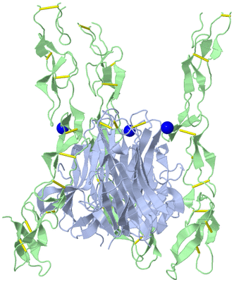 Image Biological Unit 1