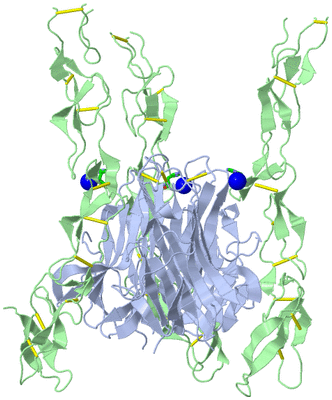 Image Biol. Unit 1 - sites