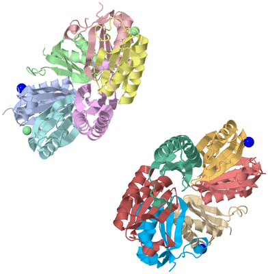 Image Asymmetric Unit