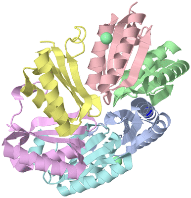 Image Biological Unit 1